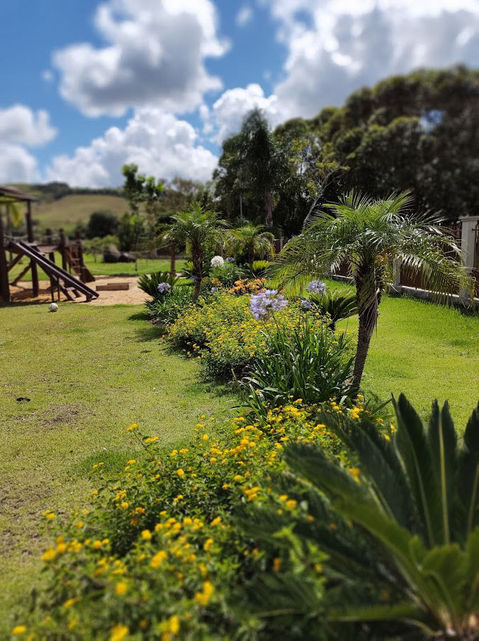 Floricultura New Garden Paisagismo e Jardinagem